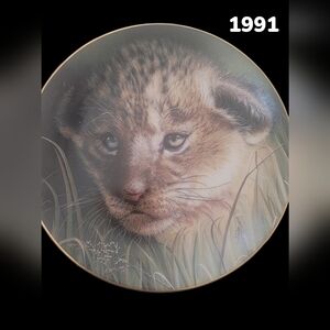 Cubs of the Big Cats LION CUB Plate Princeton Gallery Cat Qua Never Used